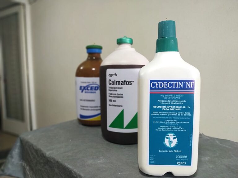 Jump-Creative-POP-12