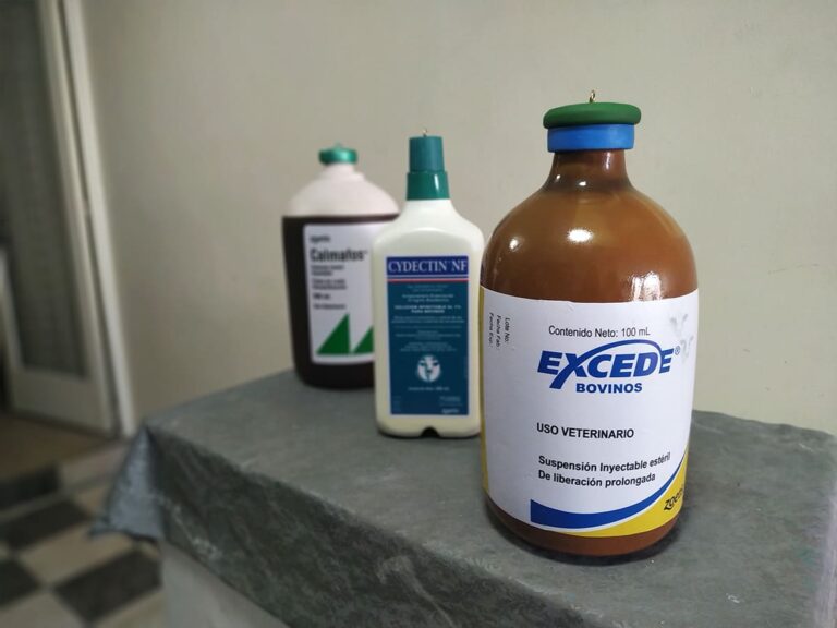 Jump-Creative-POP-14